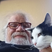 Cat Mountaineer Kitty Care And Attention