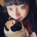 Friend Of Felines Tacoma Cat Sitting
