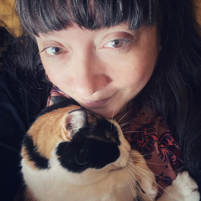 Friend Of Felines Tacoma Cat Sitting