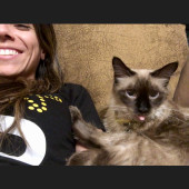 Cat-Adored Human-Approved