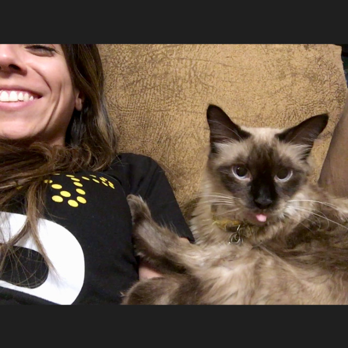 Cat-Adored Human-Approved
