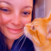 Kitty Comforts - Northwest Dfw Metro