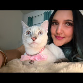 Your Cats Delight Day Or Night