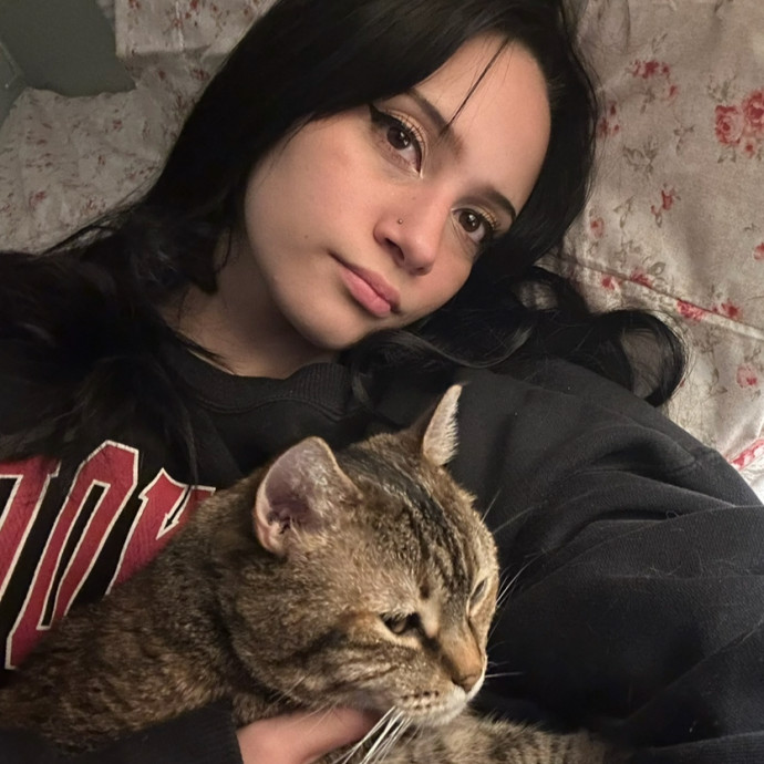 Gentle Attentive Cat Obsessed