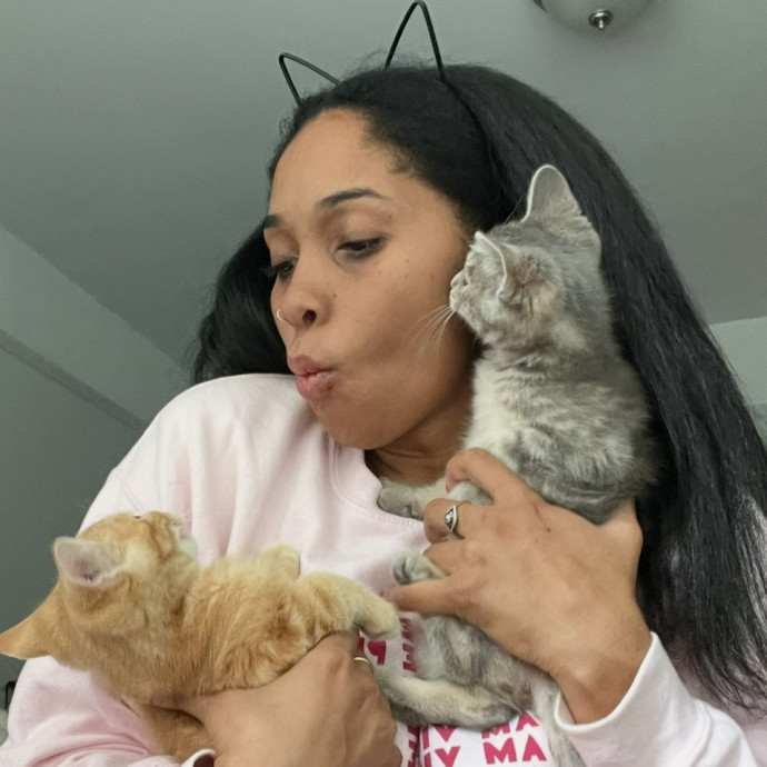 Experienced Foster  Cat Pro