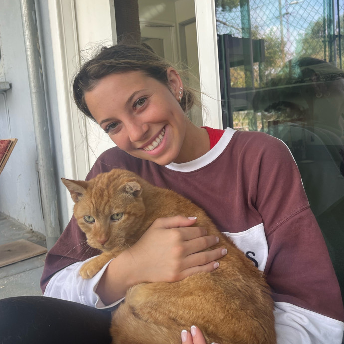 I'm Ready To Give Your Cat Some Love I'm Ready To Give Your Cat Some Love