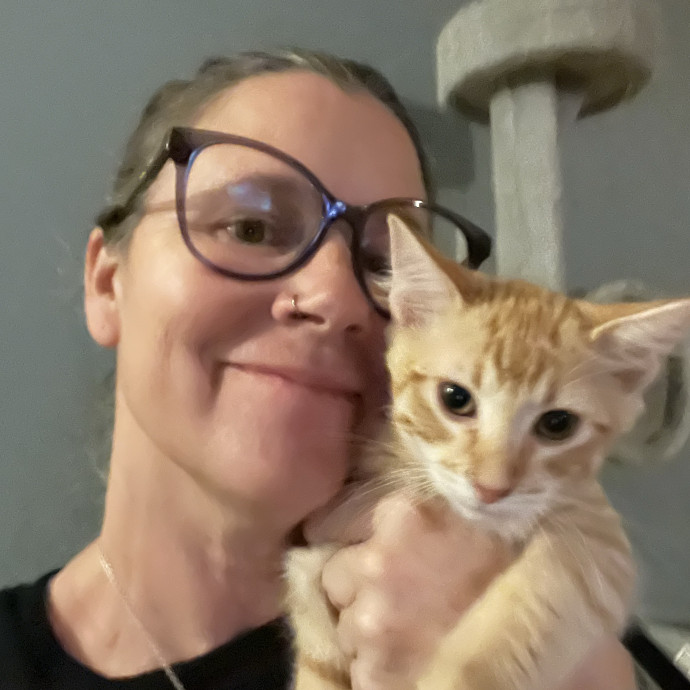 Cuddles Care And Comfort For Cats