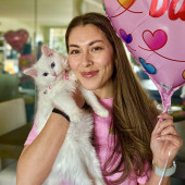 Calm Approachable Loving Cat Sitter