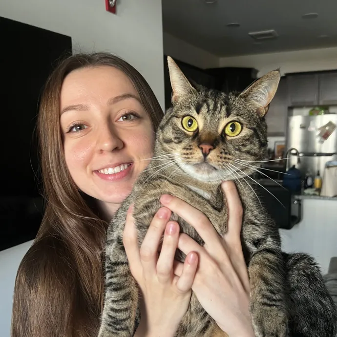 Your Kitty's New Bestie