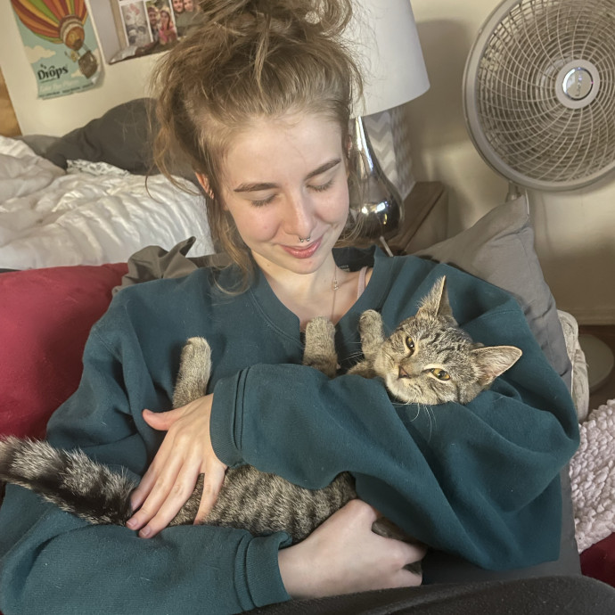 Experienced  Reliable Cat Sitter