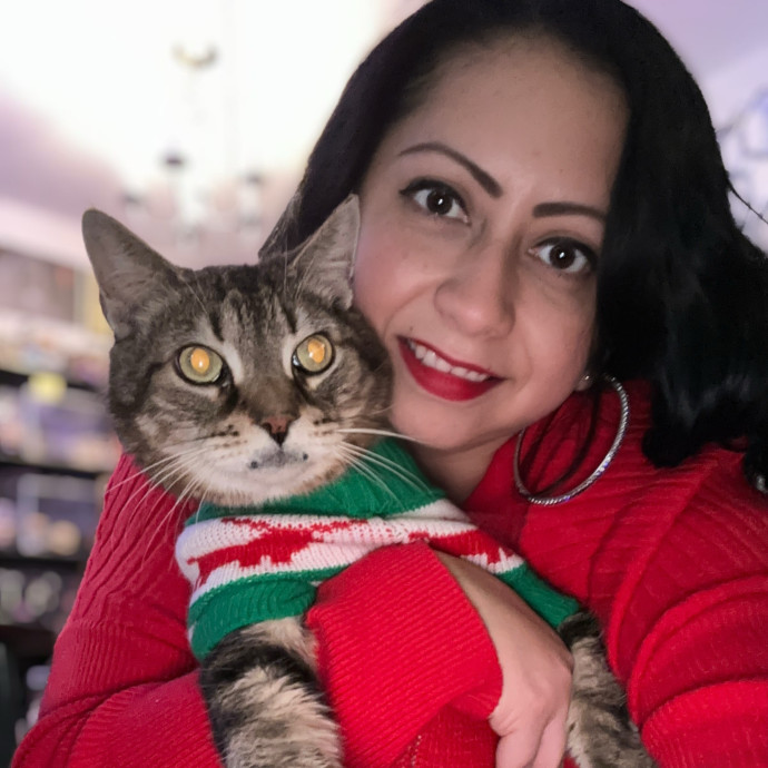 Kitty Care Companion Kitty Care Companion
