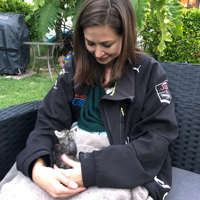 Reliable Cat Care  Updates