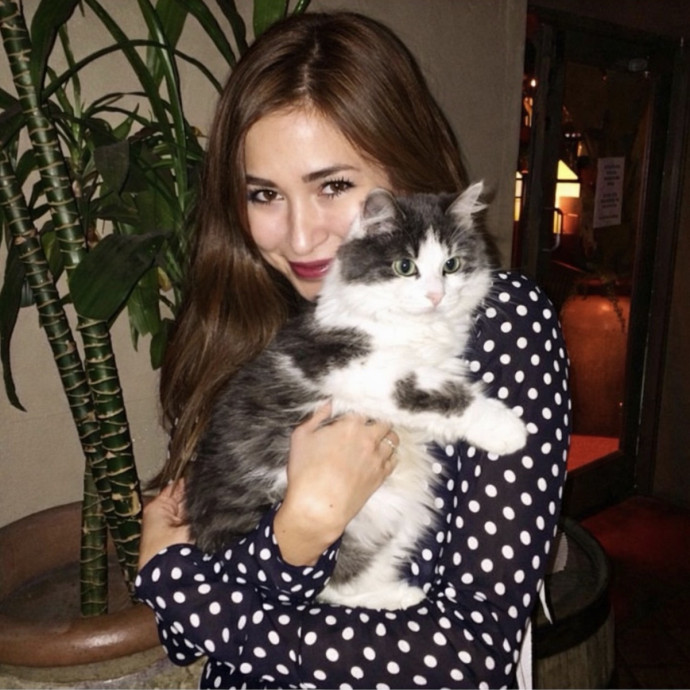 Cat Lover Providing Reliable Care