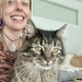 For Devine Felines
