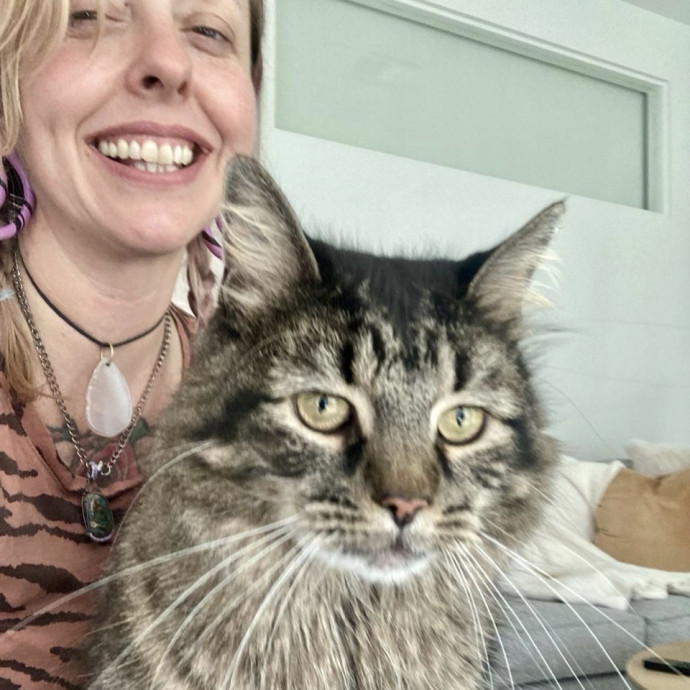 For Devine Felines