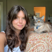 Reliable Cat Care With Grace