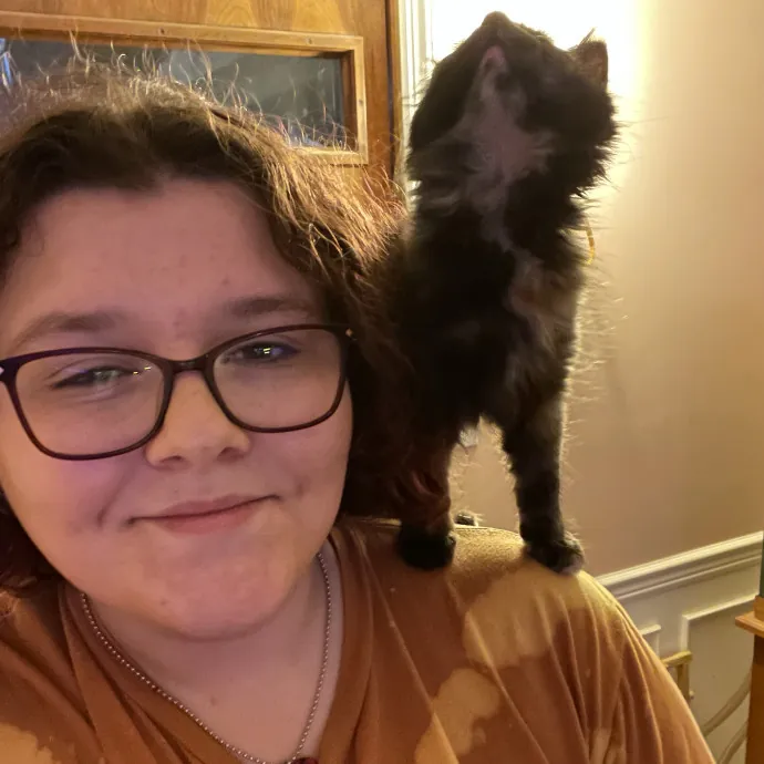 Caring Sitter With 5 Pets At Home