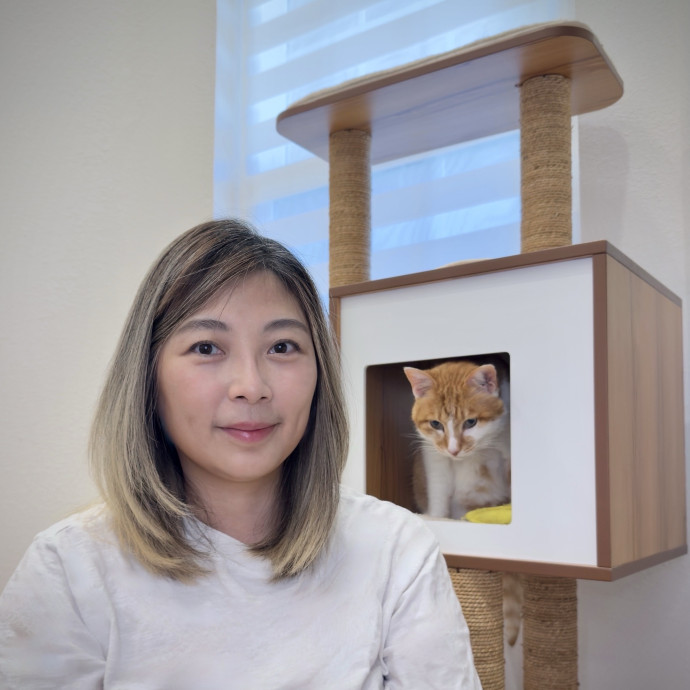 Cat Mom Of 6 Experienced W Shy  Medical Needs