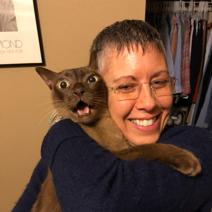Love Cats
