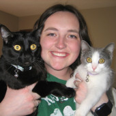 Cat Sitting By Maggie