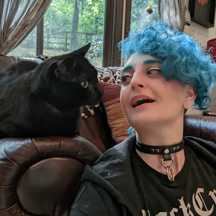 Cat Cuddler And Couch Companion