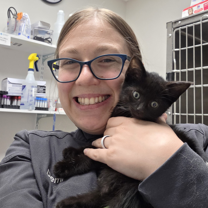 Pro Veterinary Experience Cat Lady