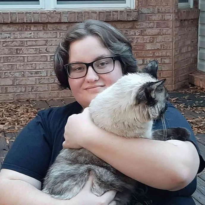Ensuring Your Cat's Safety And Comfort