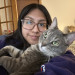 Open To Cat Sitting