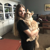 Loving And Reliable Cat Sitter