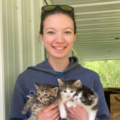 Cassie's Cozy Cat Care