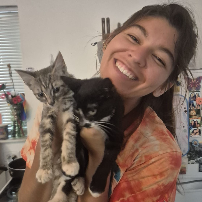 Loving Cats Is My Personality