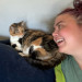 Cats At Peace With Madison In Austin