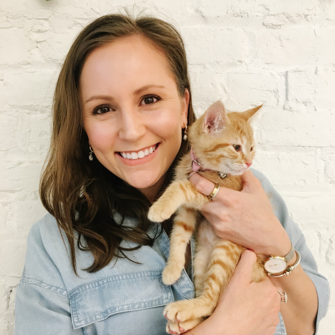 I Love Cats