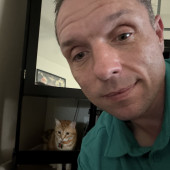 I Love Cats