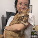 Trusted Cat Concierge