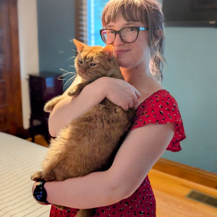 Loving Full-Time Care For Your Kitties