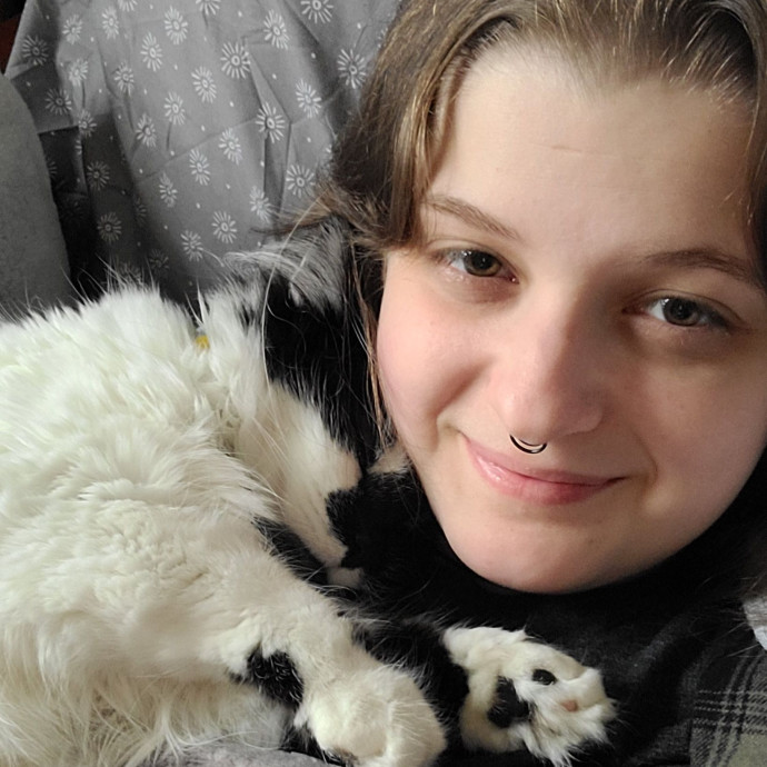 Show Me Your Kitties