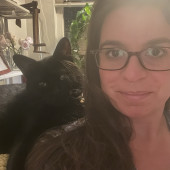 Cat Lover Available To Spoil Your Cat