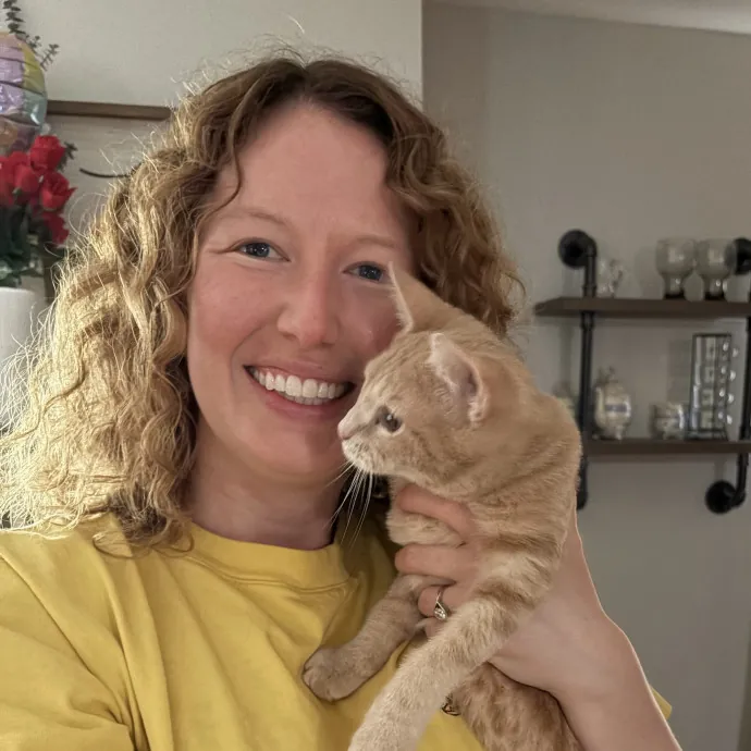I Love Kitties
