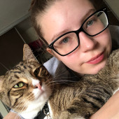 The Purrfect Sitter