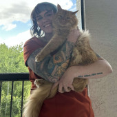 Certified Feline Veterinary Professional