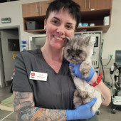 Certified Feline Veterinary Professional