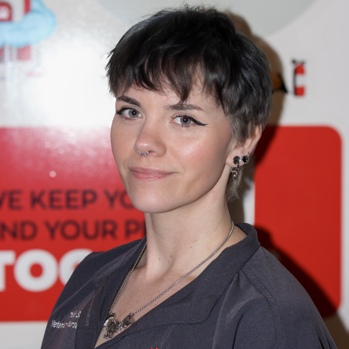 Certified Feline Veterinary Professional