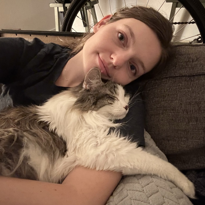 Cozy Kitty Companion