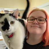Come Home To A Happy Cat