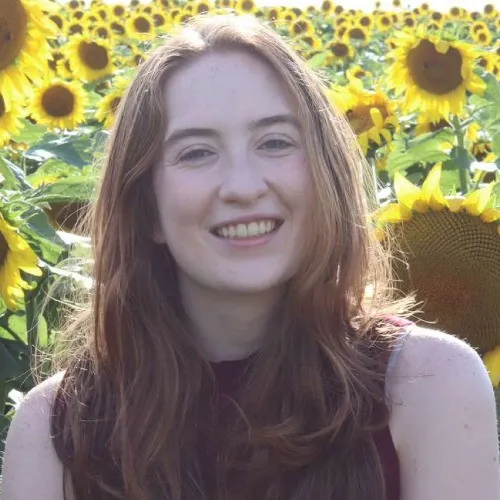 Experienced Cat Sitter For Cats Of All Personalities 