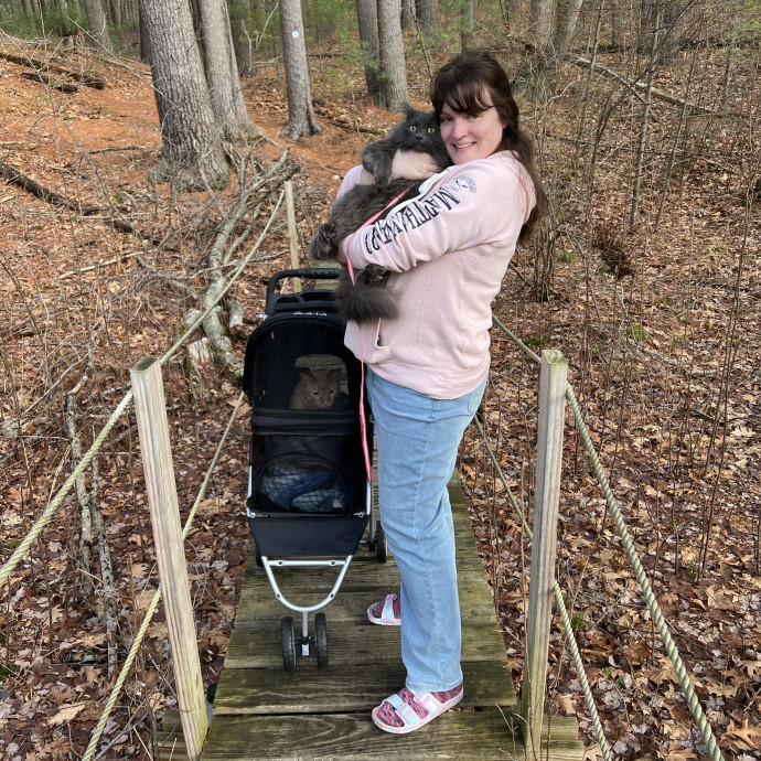 Andover Cat Nanny