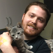 Cat Loving Sitter Every Meow And Then