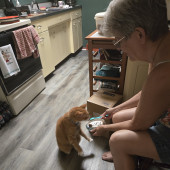 Gentle Patient And Loving Care