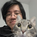 Cat Friends And Pets